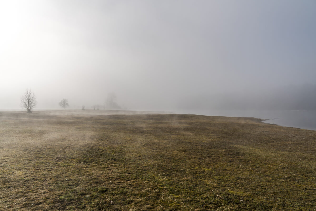 Thurauen Bodennebel