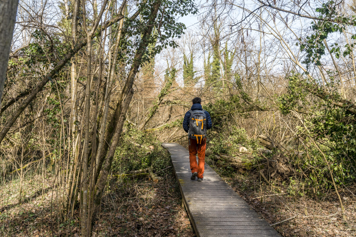 Boardwalks in den Thurauen