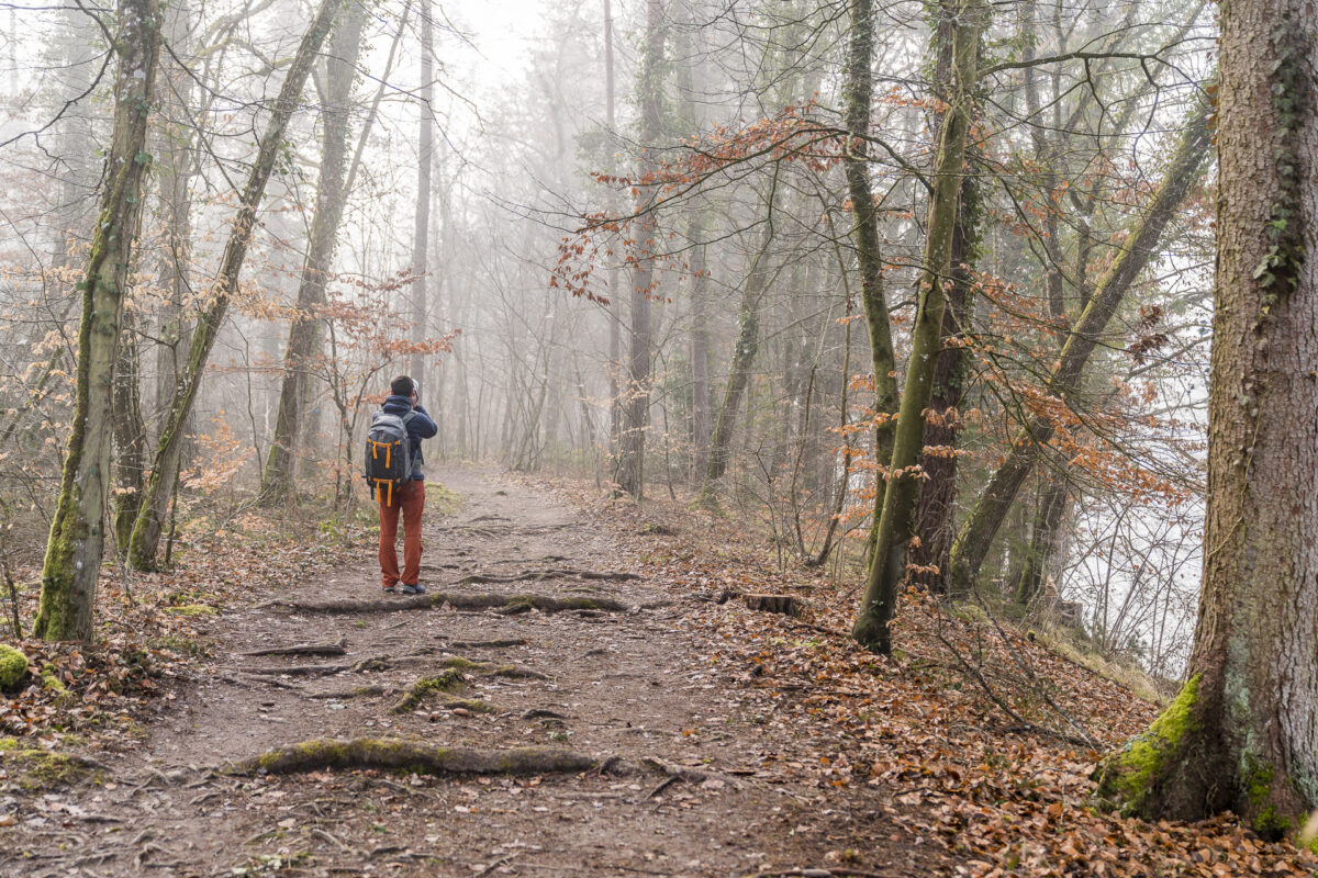 Rheinau Wanderung