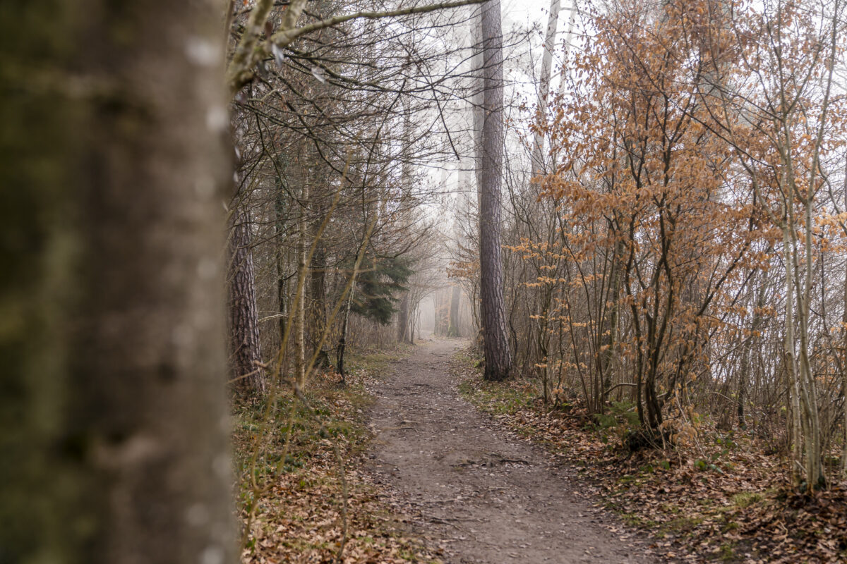 Wanderung Rheinau Ellikon