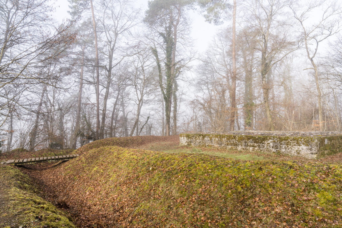 Rheinau Kastell