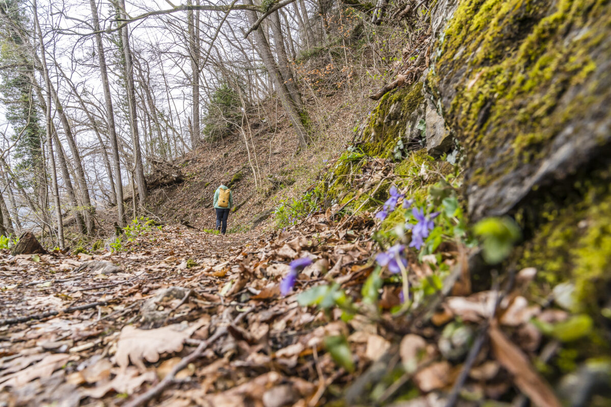 Quinten Weesen Wanderung