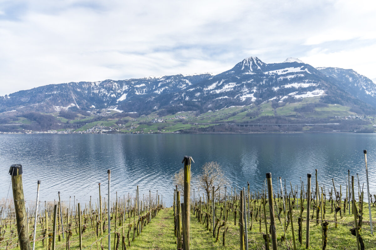 Wein am Walensee