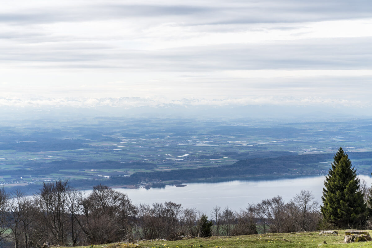 Bielersee Panorama