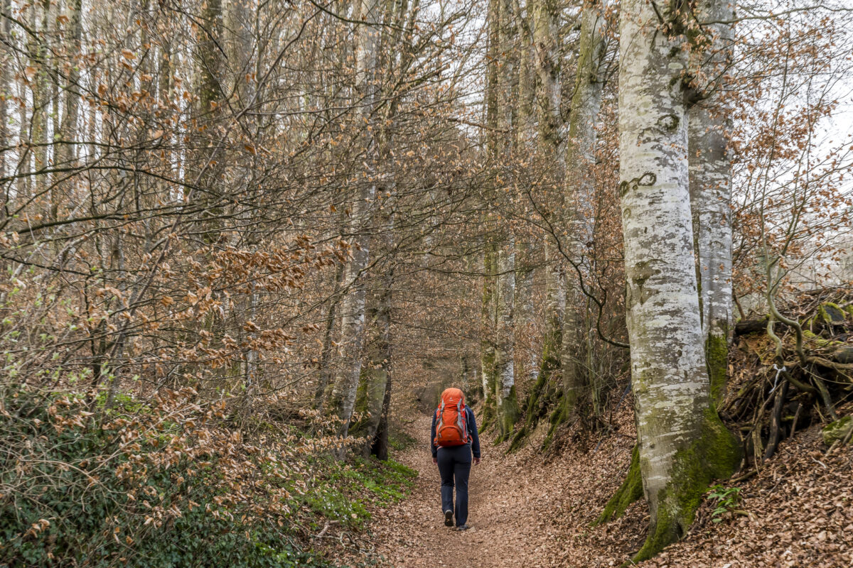 Wandern auf dem Jakobsweg