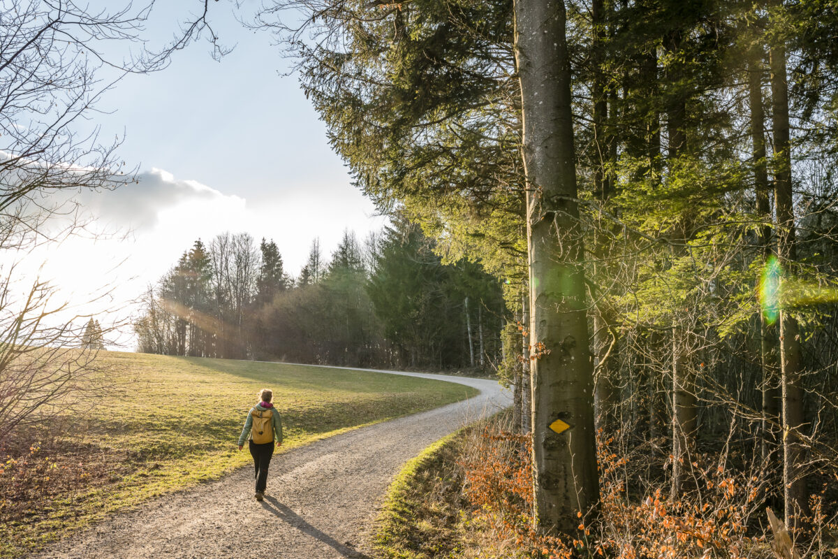 Kyburg Sennhof Wanderung