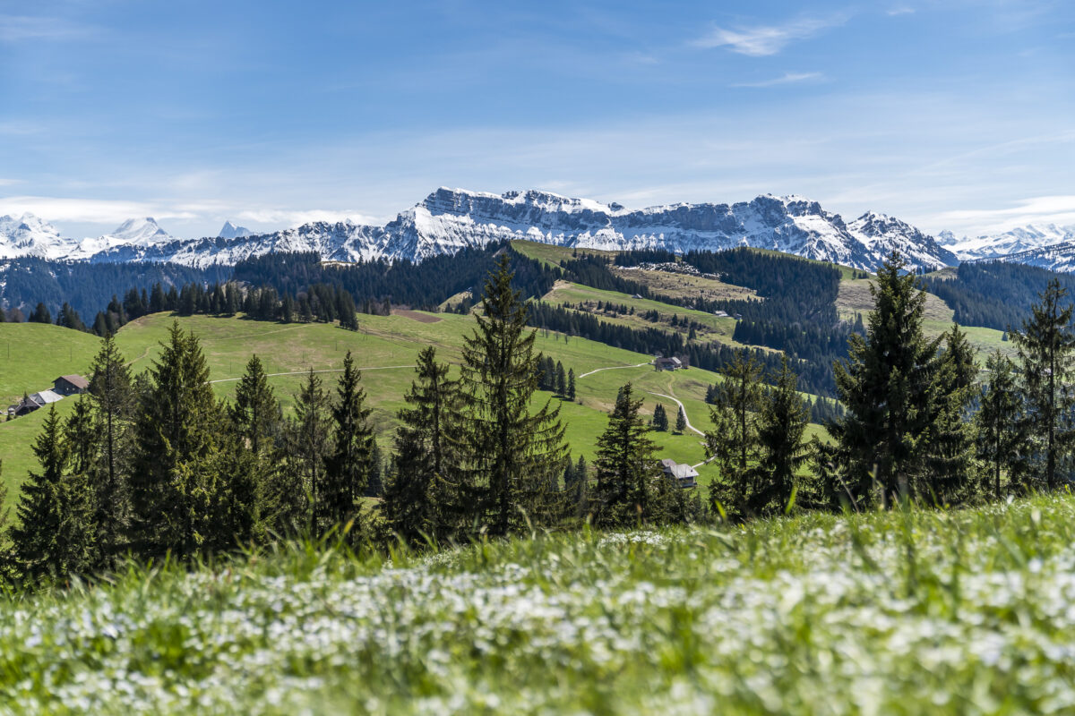 Grenzpfad Napfbergland Panorama