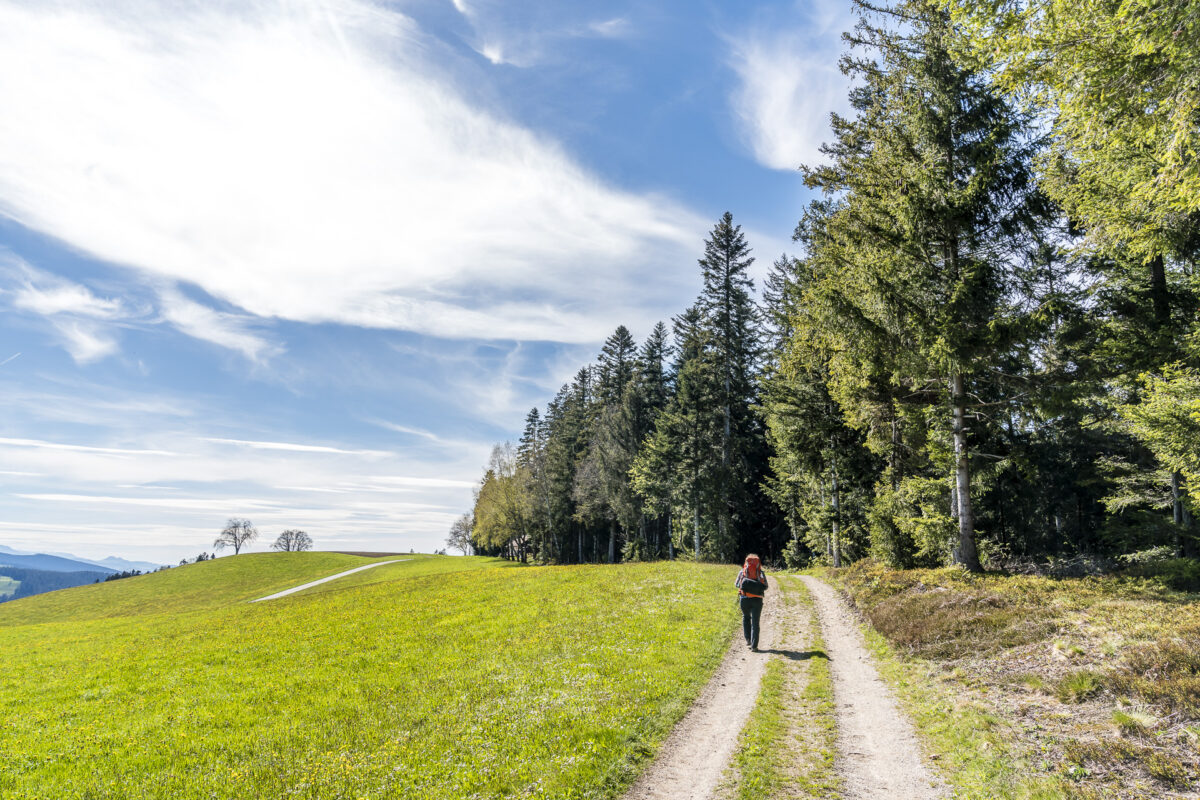 Wanderung Rämisgummen Langnau