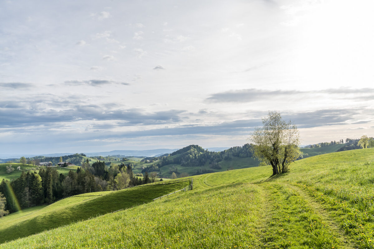 Wanderung Lutherntal