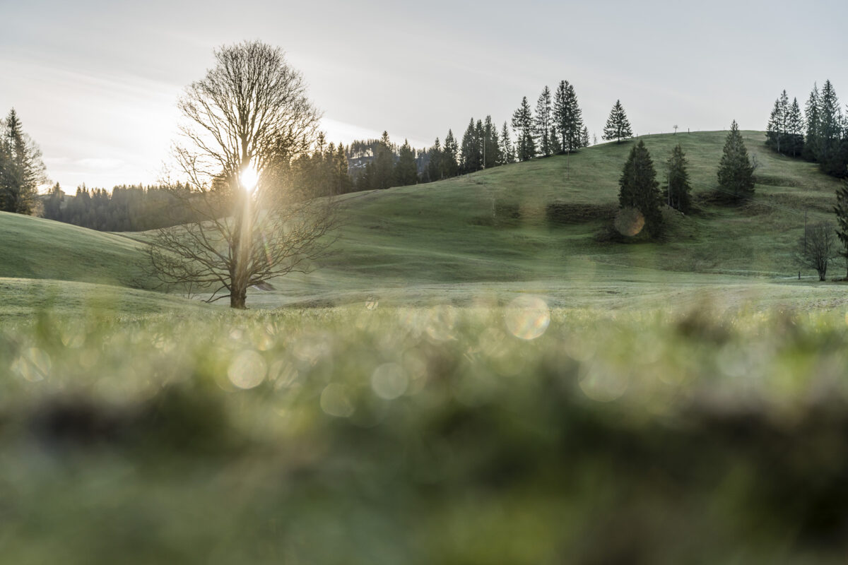 Morgenstimmung Biosphäre Entlebuch