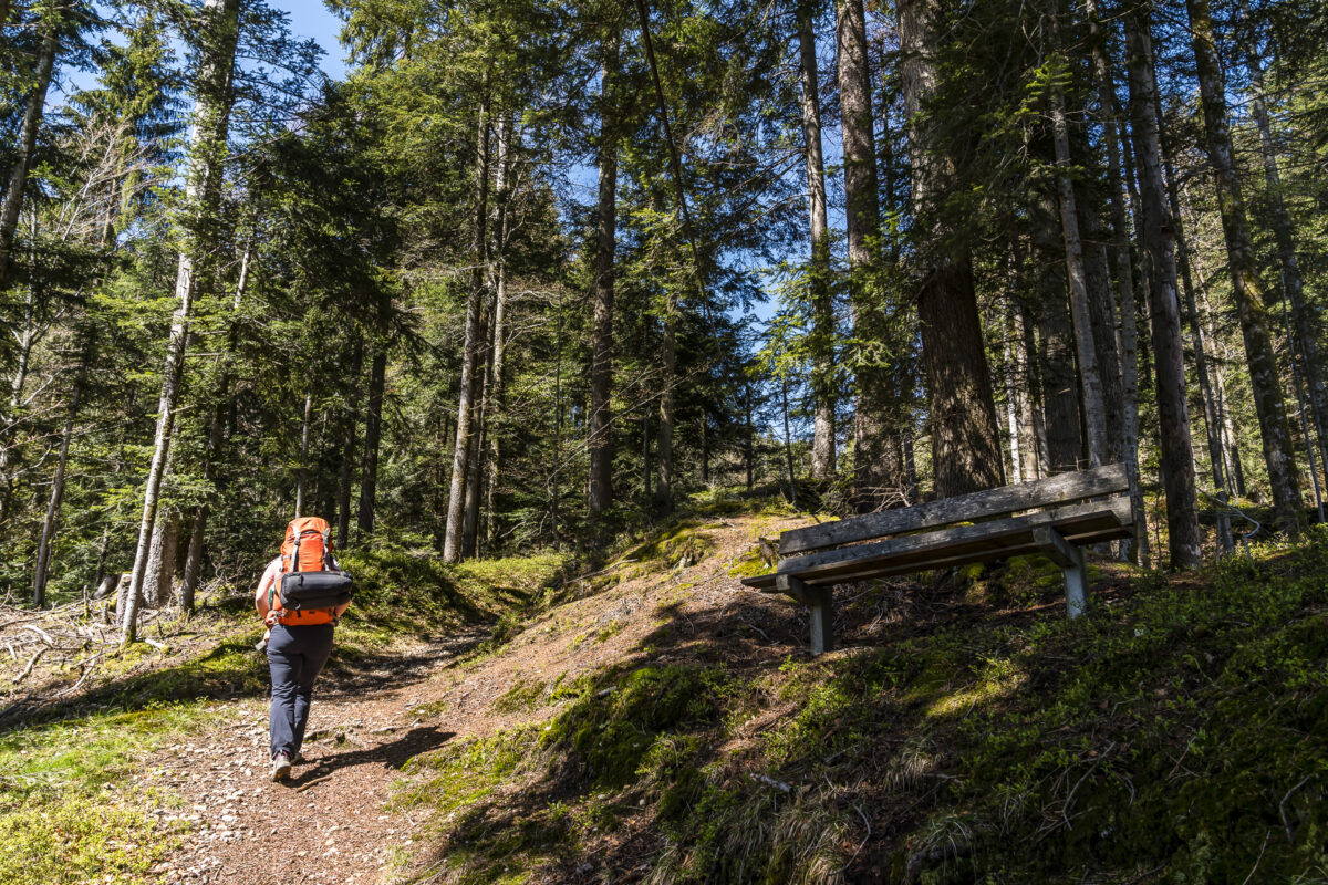 Wanderung Marbach Wachthubel