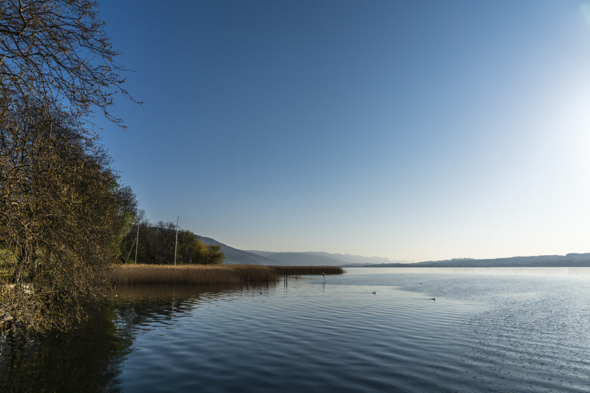 Bielersee Morgenstimmung