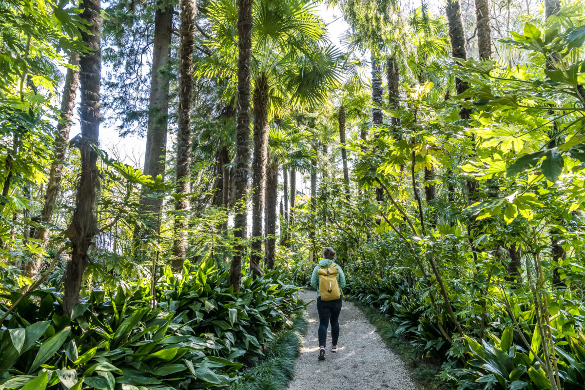 Brissago-Inseln Botanischer Garten