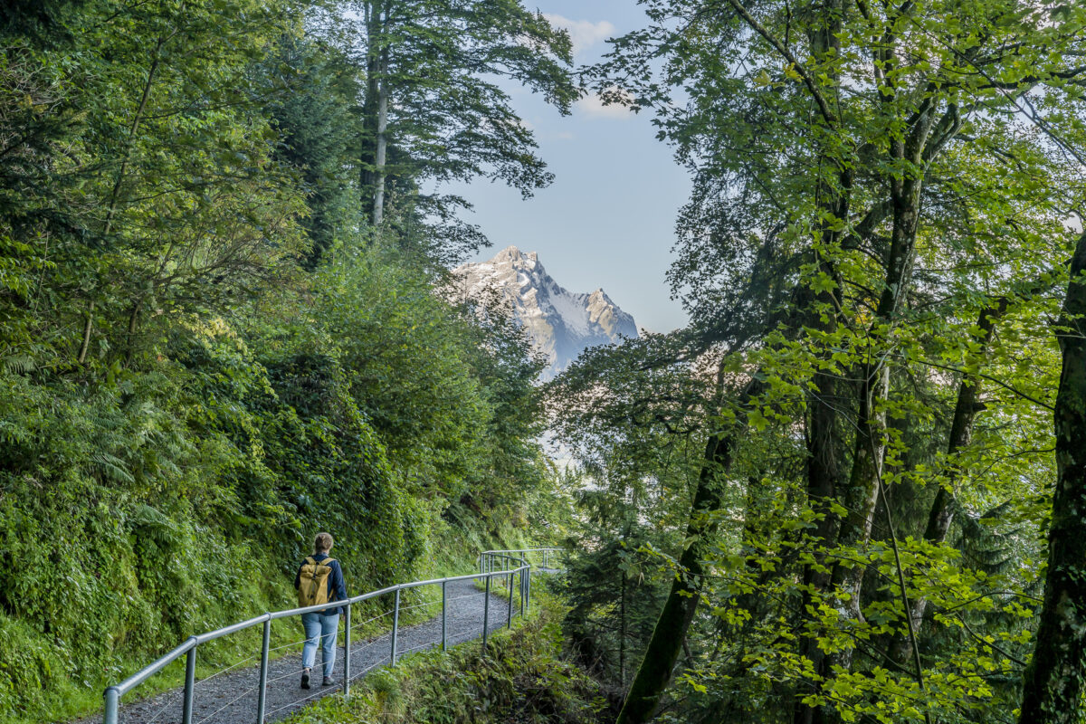 Felsenweg Bürgenstock