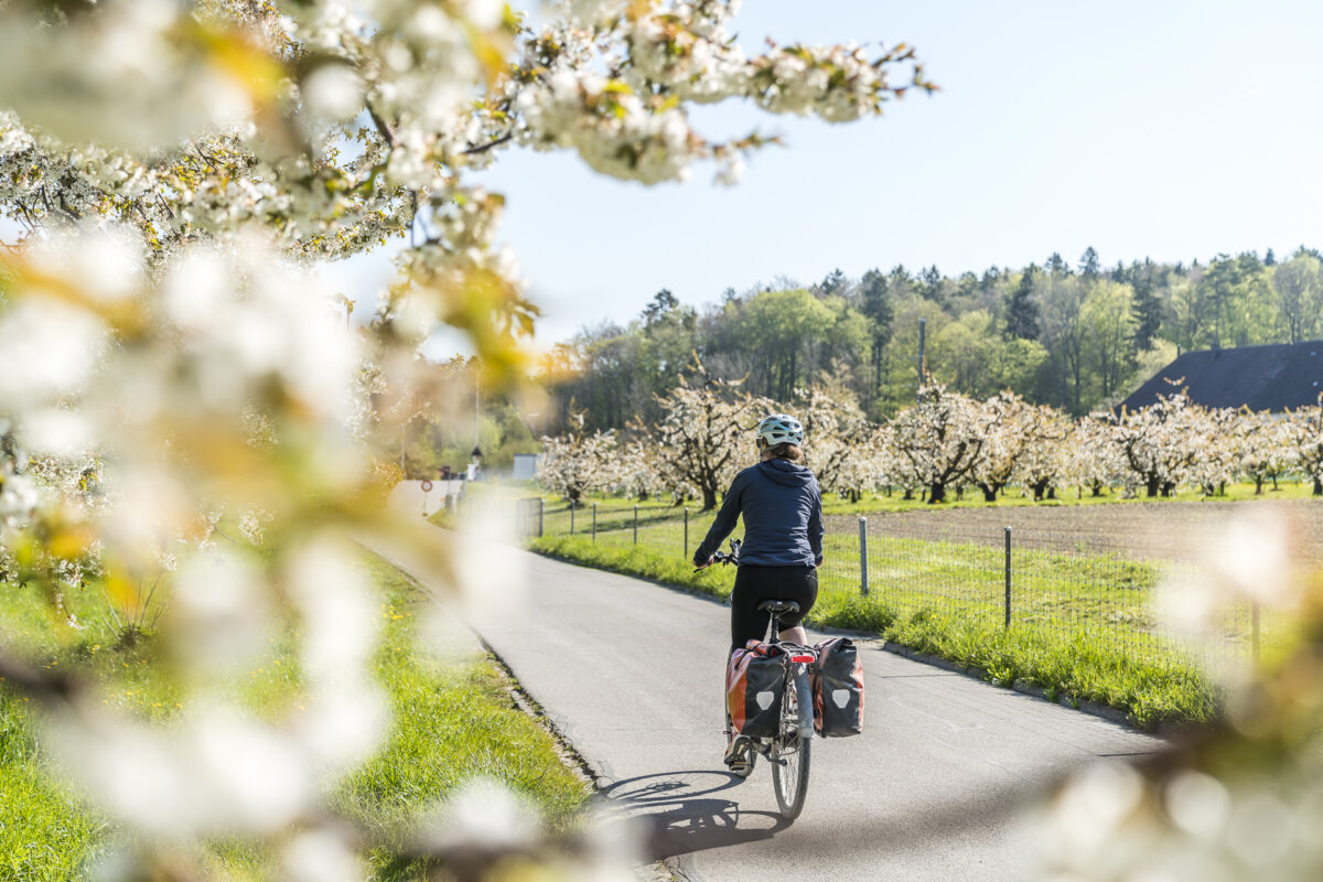 Velotour Seeland in der Schweiz