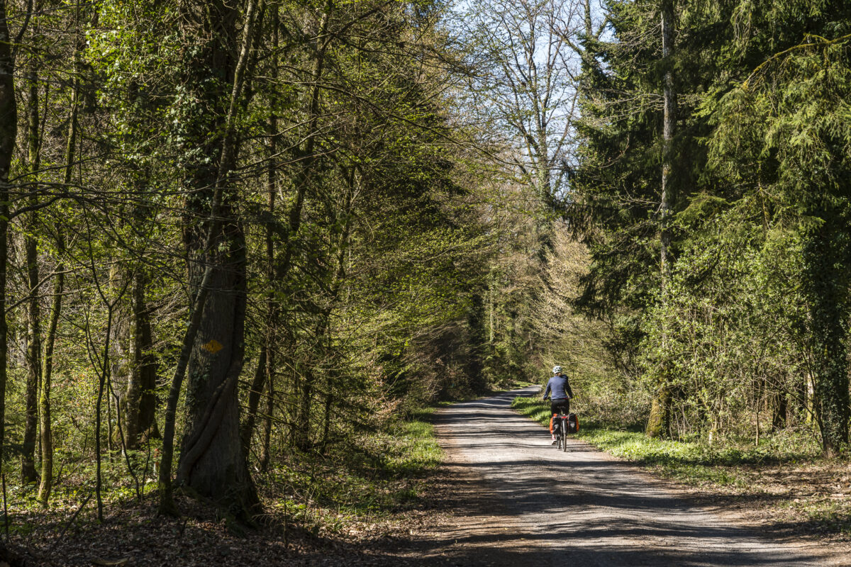 Veloweg Oberaargau