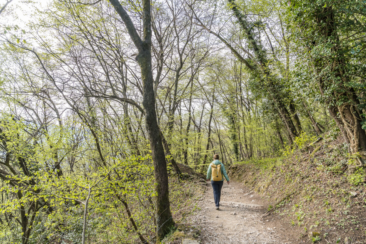 Wanderung San Salvatore