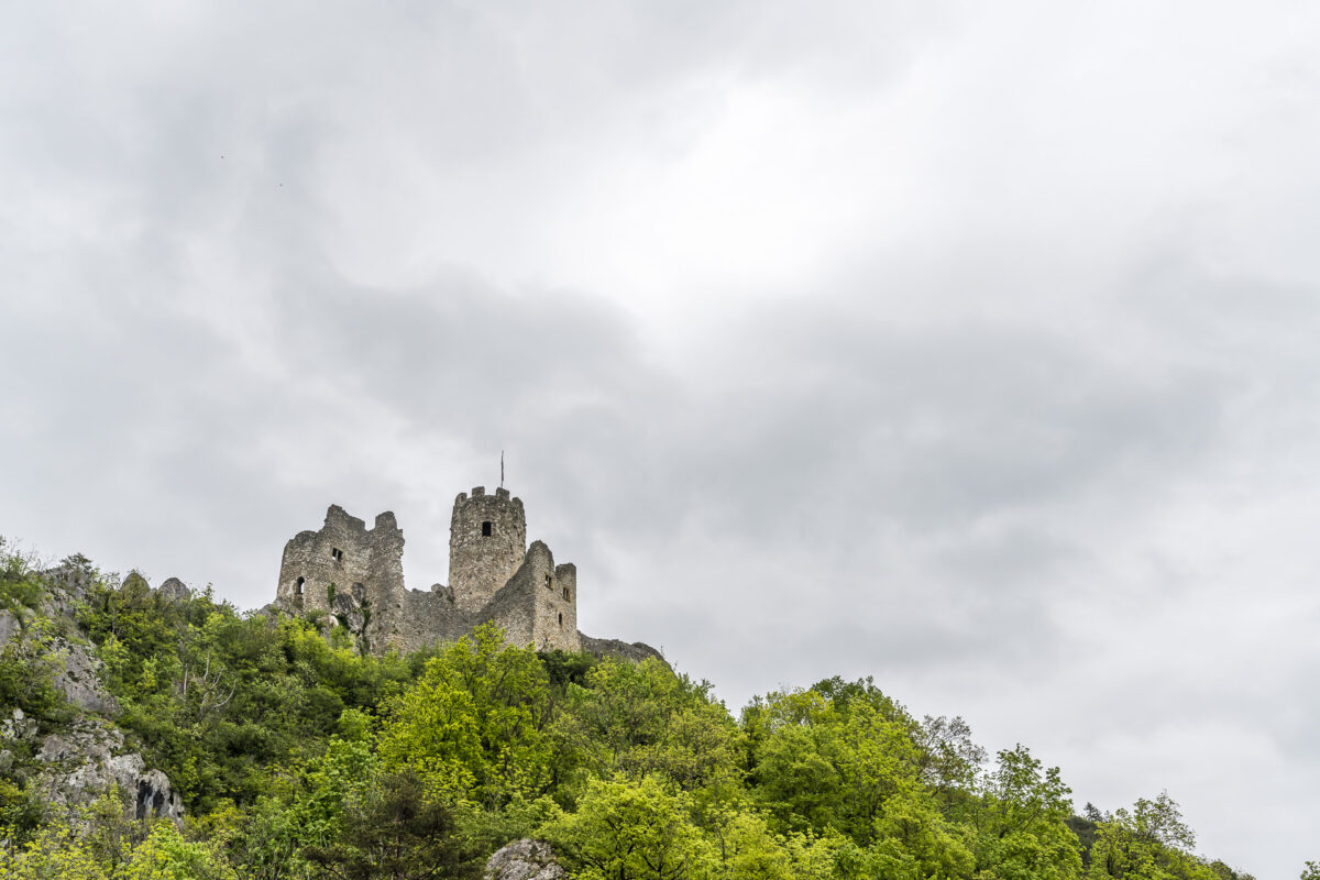 Burgruine Neu Falkenstein