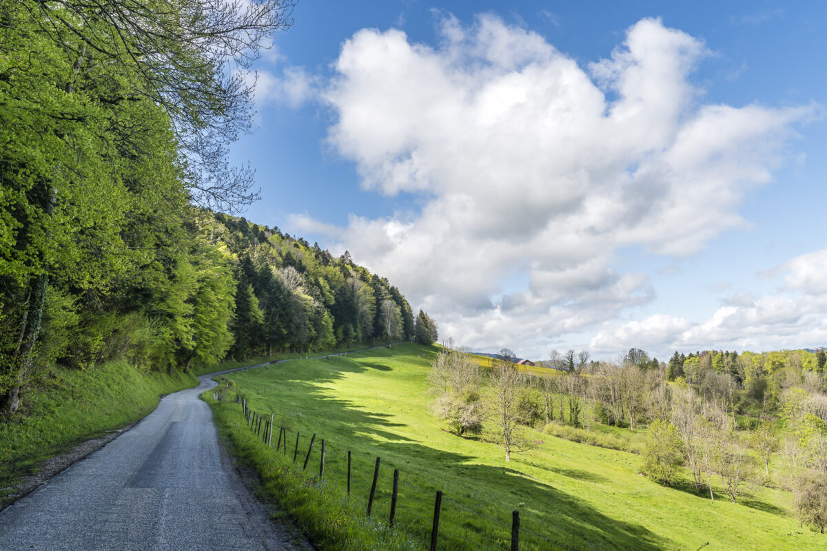 La Route Verte Jura