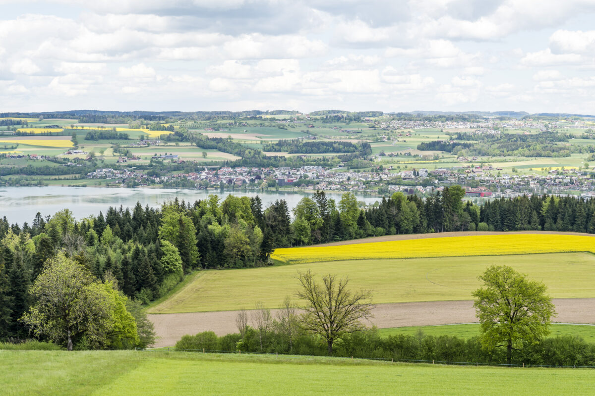 Aussicht Sempachersee