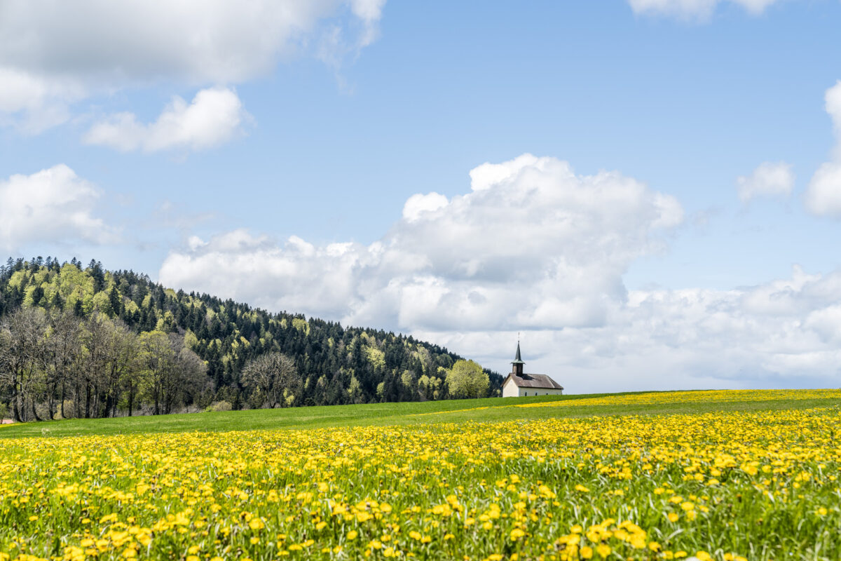 Freiberge Jura