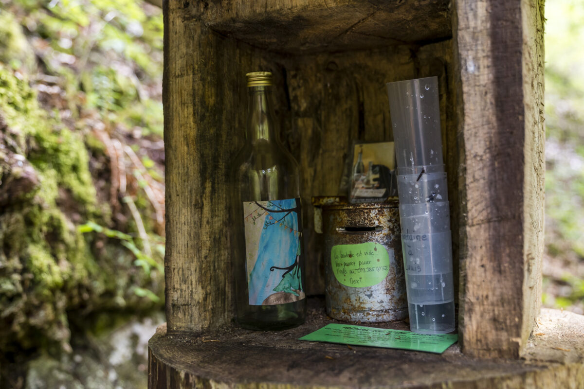 Absinth im Wald