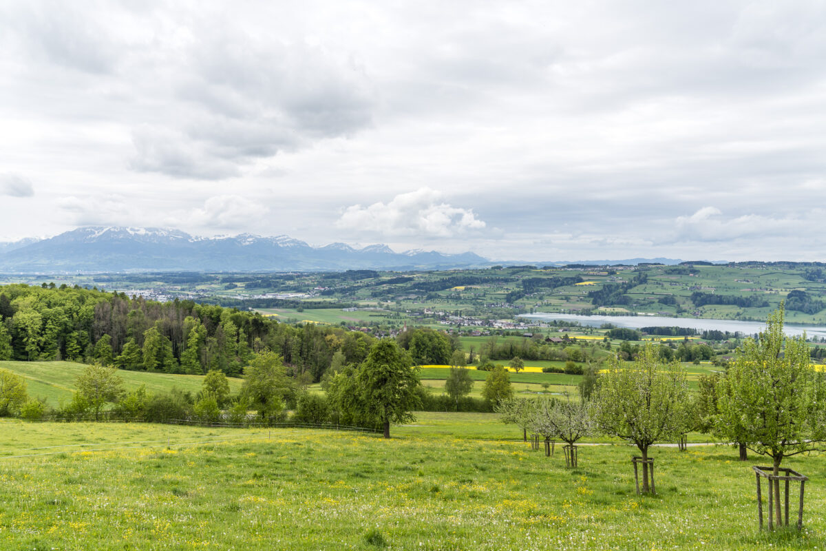 Aussicht im Seetal