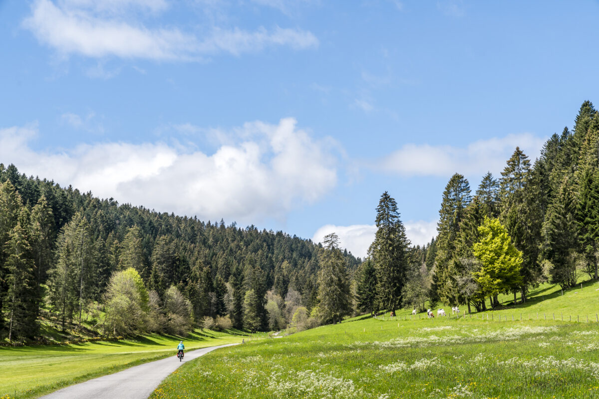 Velotouren Schweiz: Route Verte