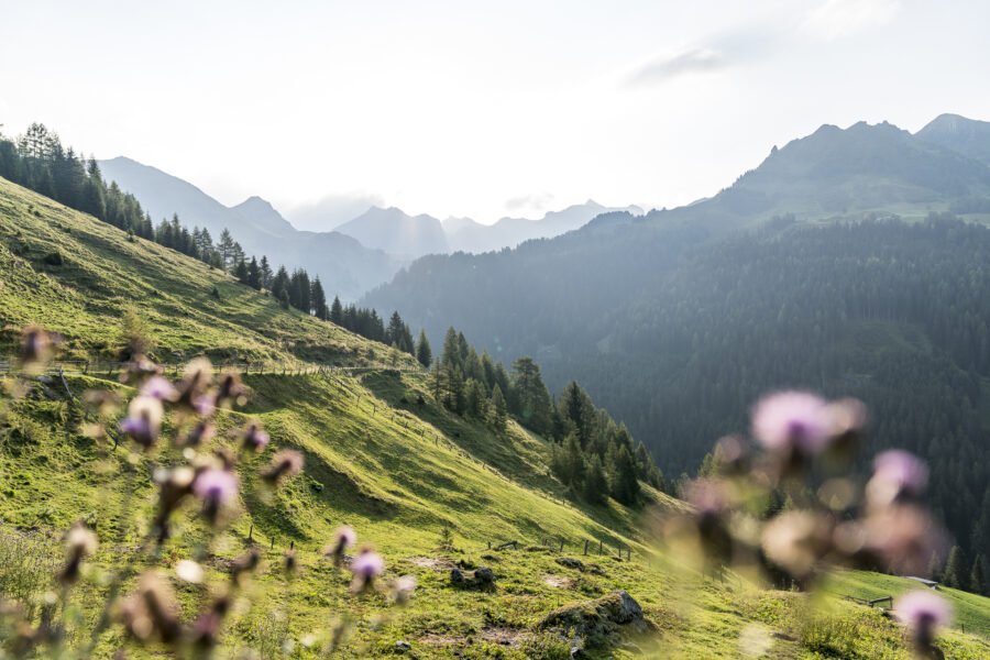 Österreich Bucket List