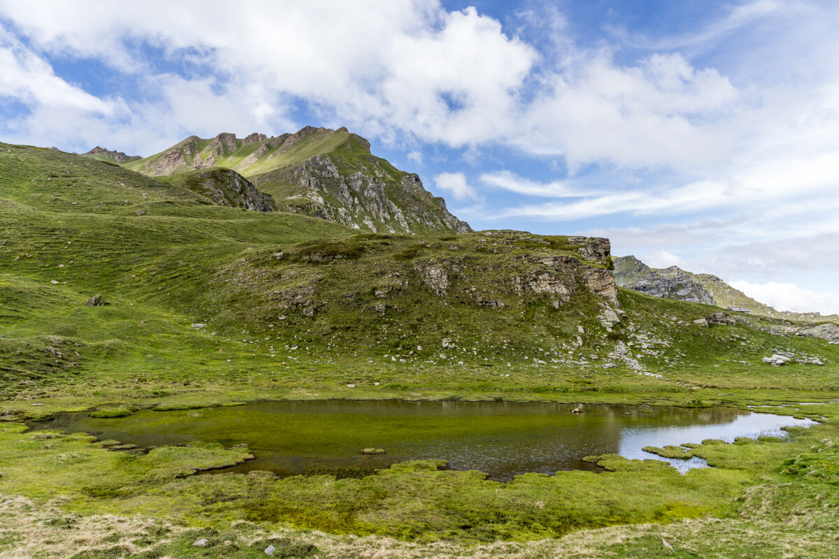 Vercorin Natur