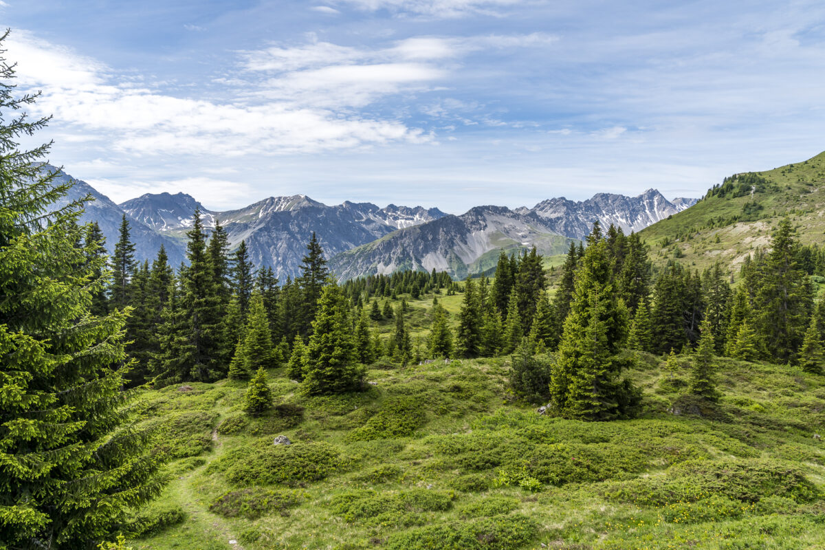 Biketour Ochsenalp