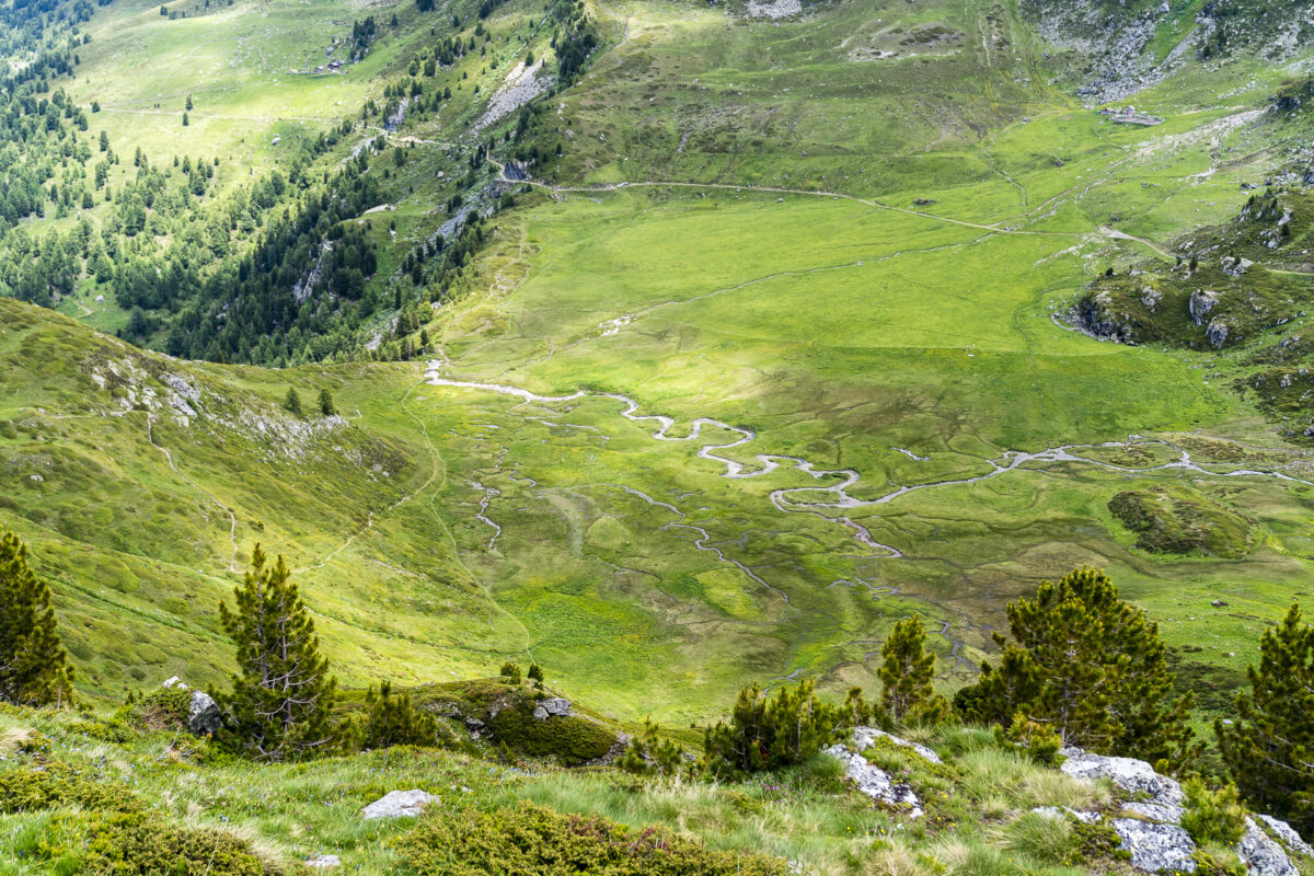 Hochmoor La Rèche