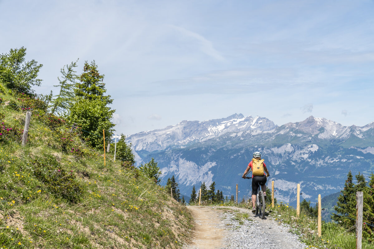 Arosa Ochsenalp Tschiertschen Runde