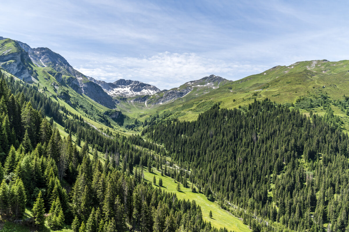 Schanfigg Panorama