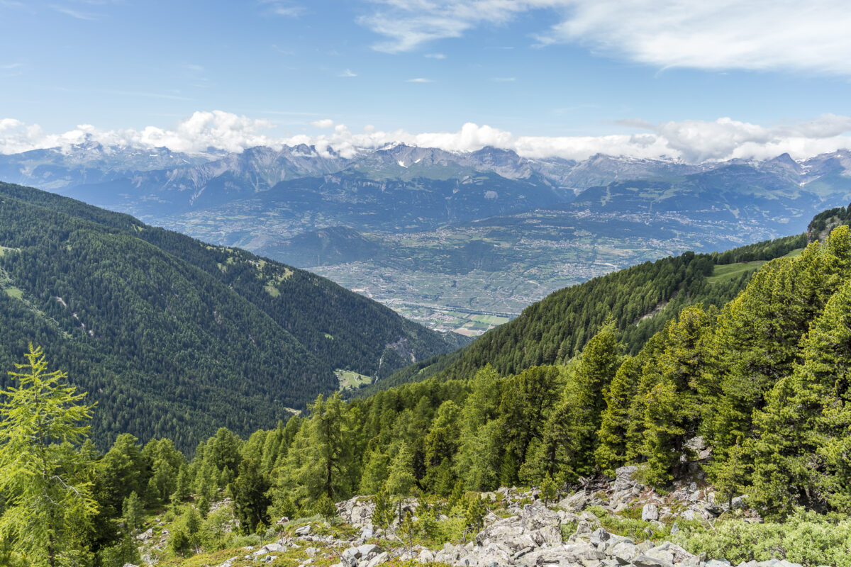 Panorama Unterwallis