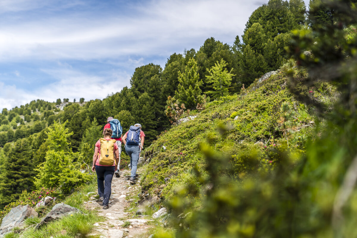 Wandern Crêt du Midi