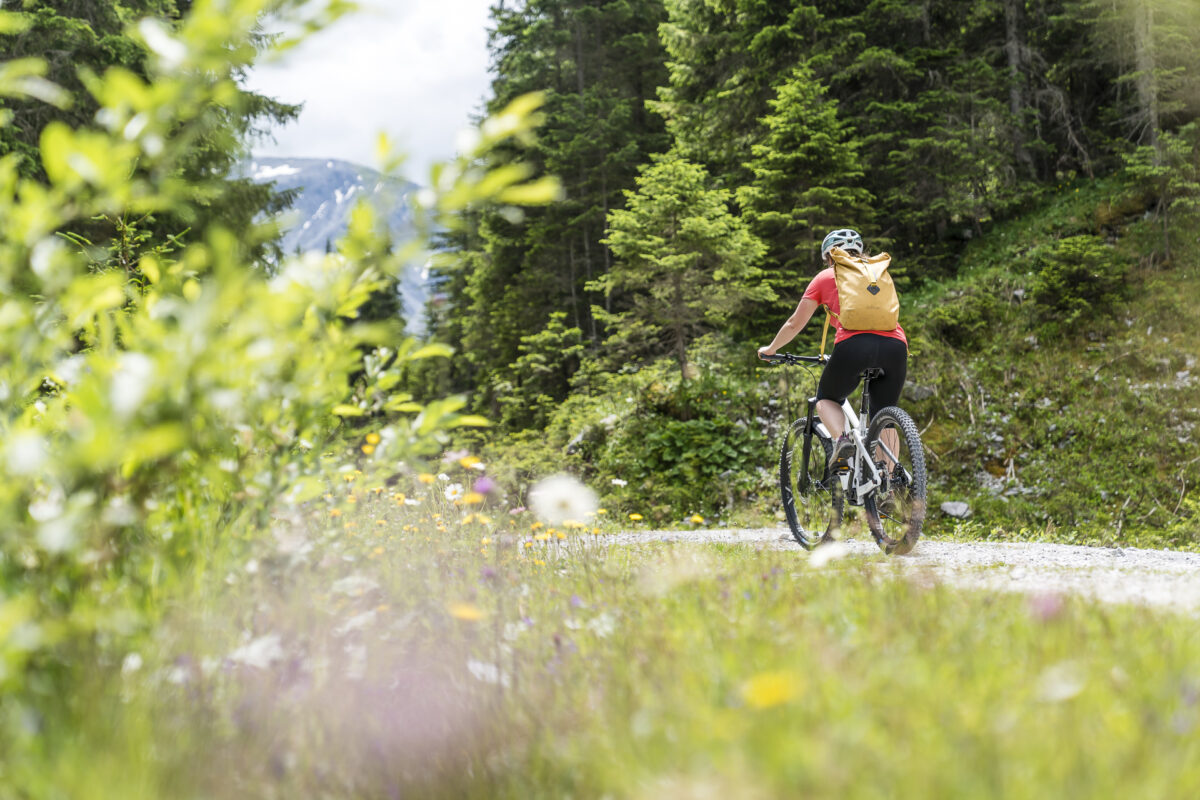 Biketour Arosa