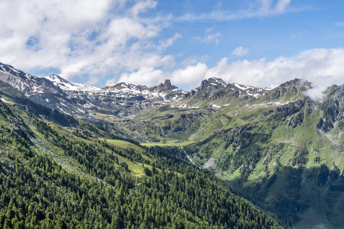 Vallon de Réchy