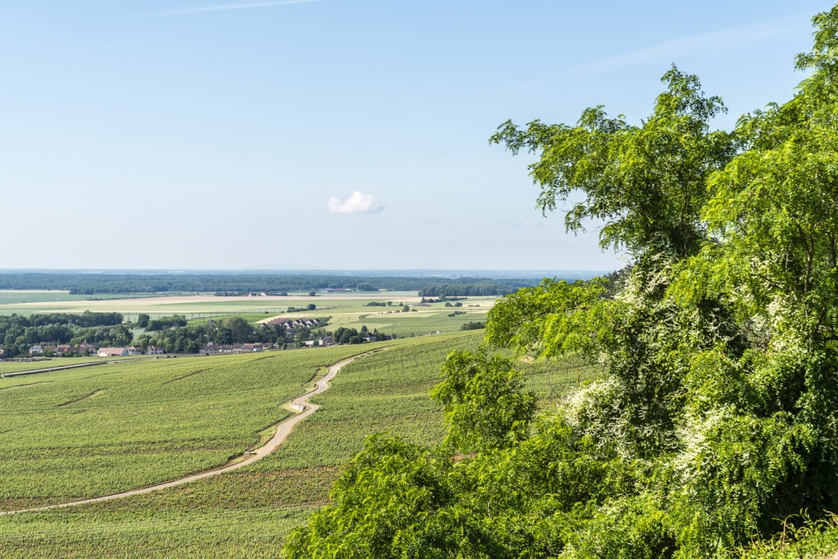 Route des Grands Crus Burgund