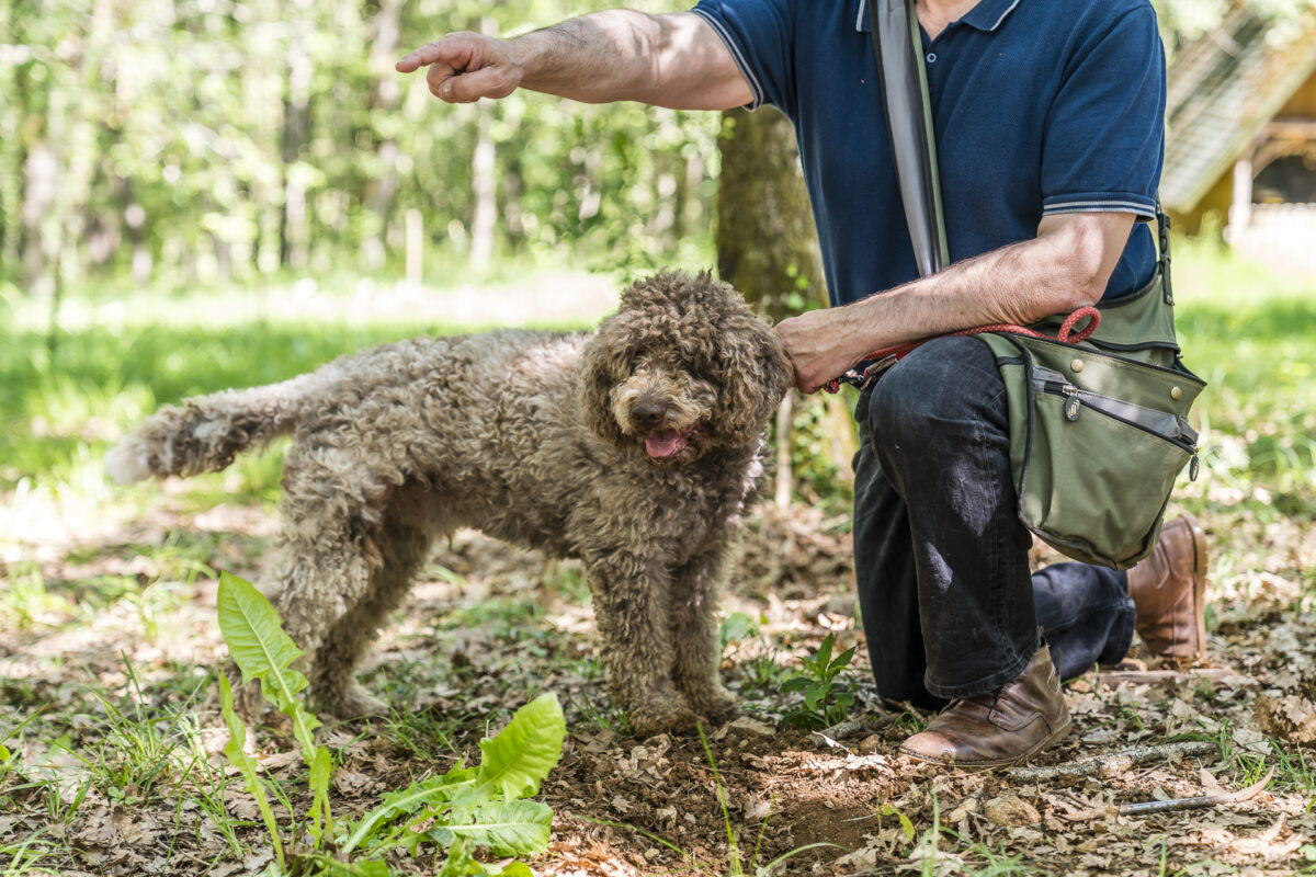 Trüffelsuche mit Hund