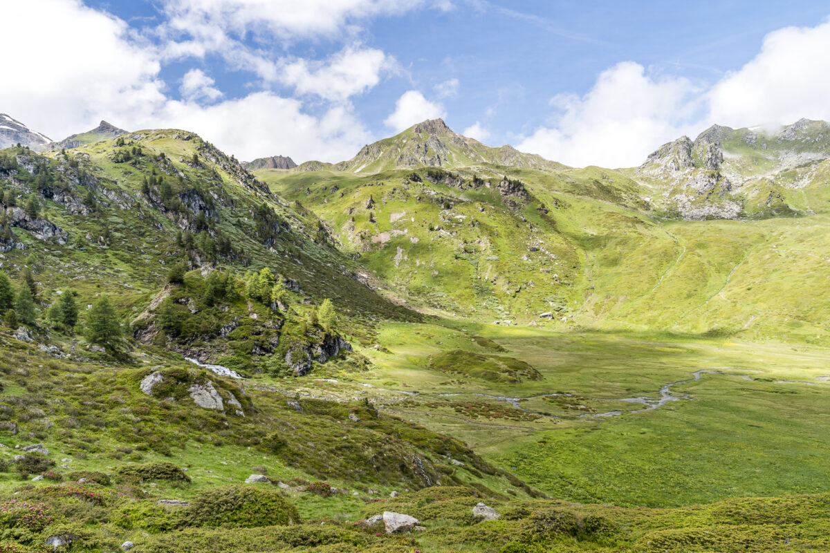 Vallon de Réchy