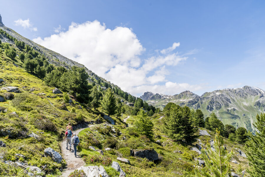 Chemin du Vallon de Réchy