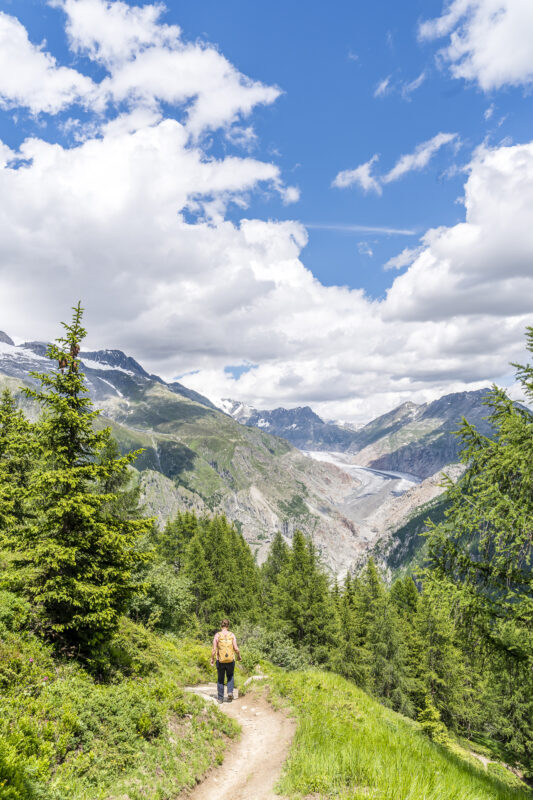 Wanderweg Blatten-Belalp