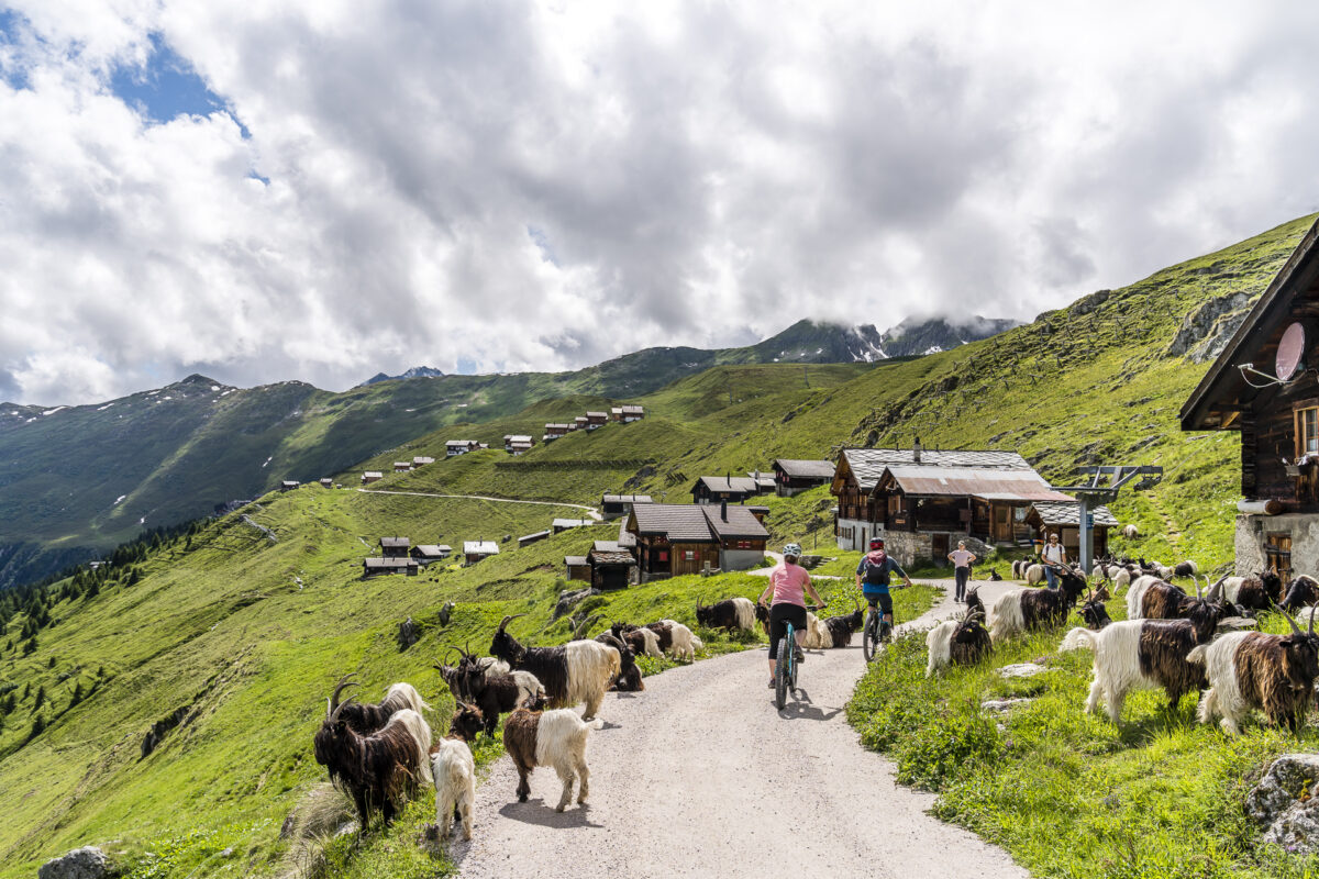 Biken Blatten-Belalp