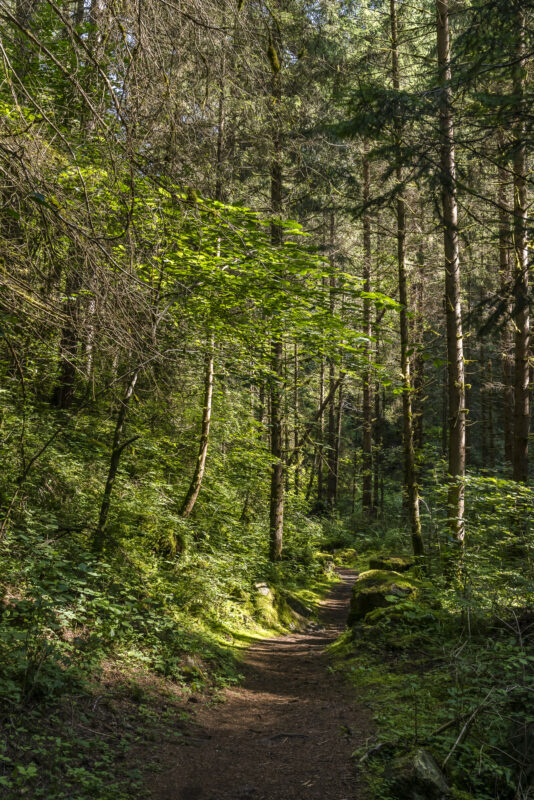 Luis-Trenker-Steig Imst Wanderung