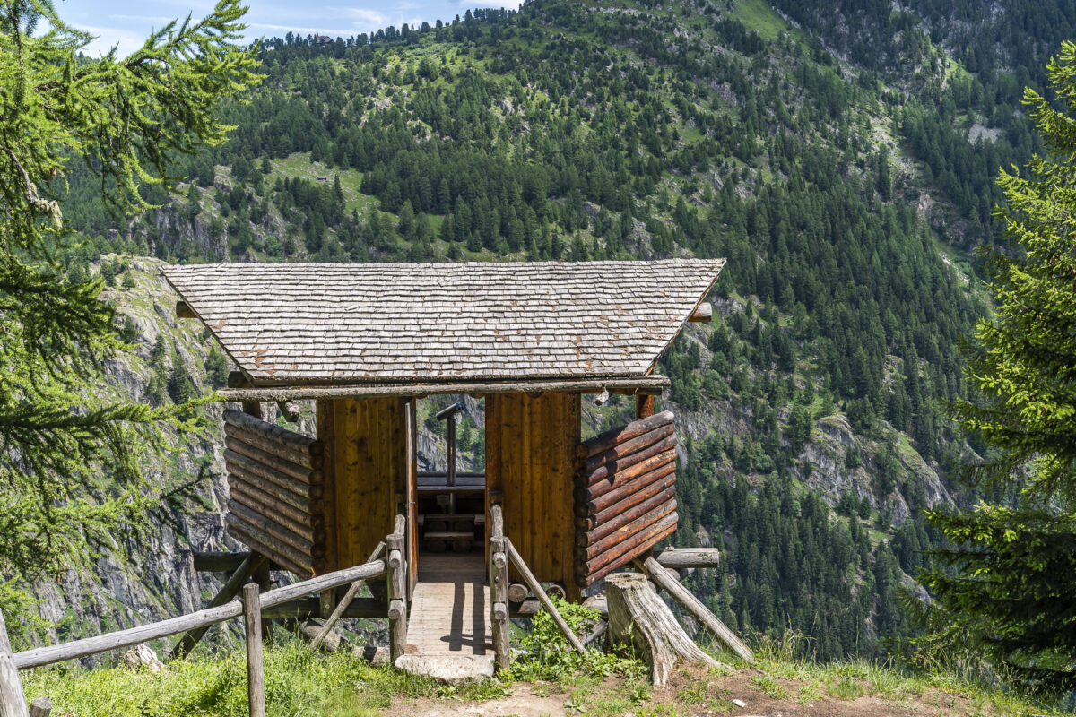 Wildbeobachtung Blatten-Belalp