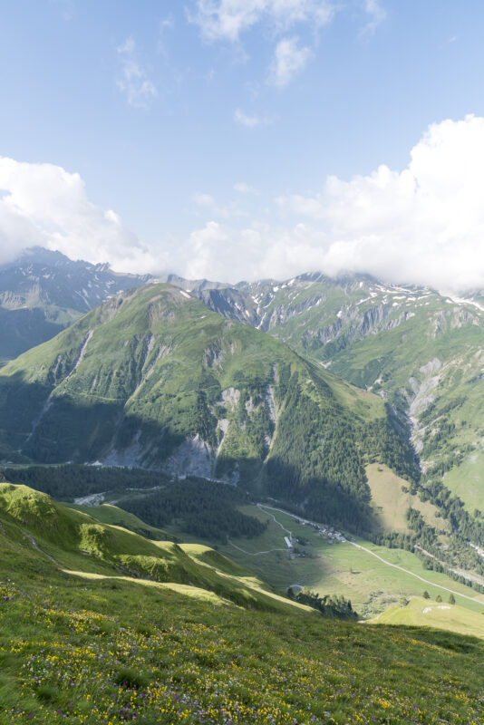 Panorama la Fouly Val Ferret