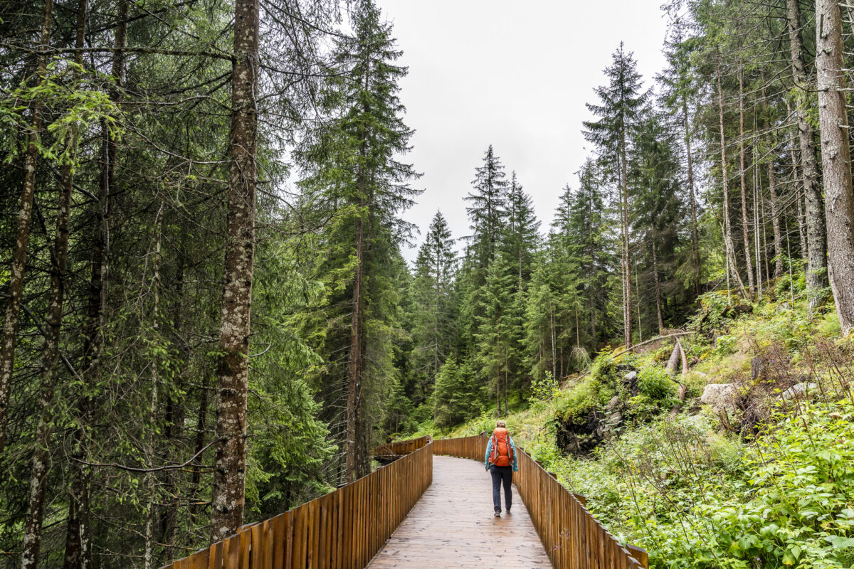 Wanderweg Steinbockzentrum