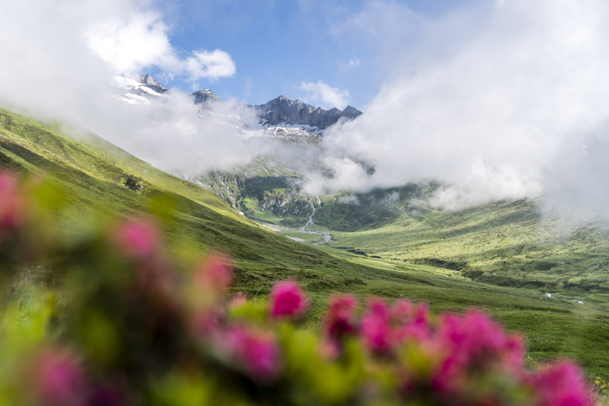 Alpweiden Belalp