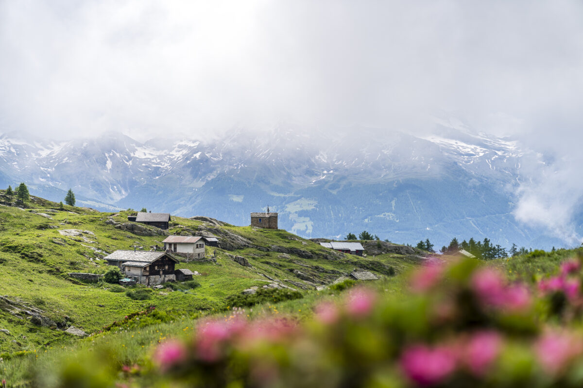 Weiler Nessel Belalp